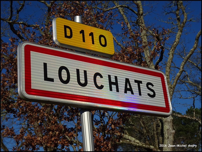 Louchats 33 - Jean-Michel Andry.jpg