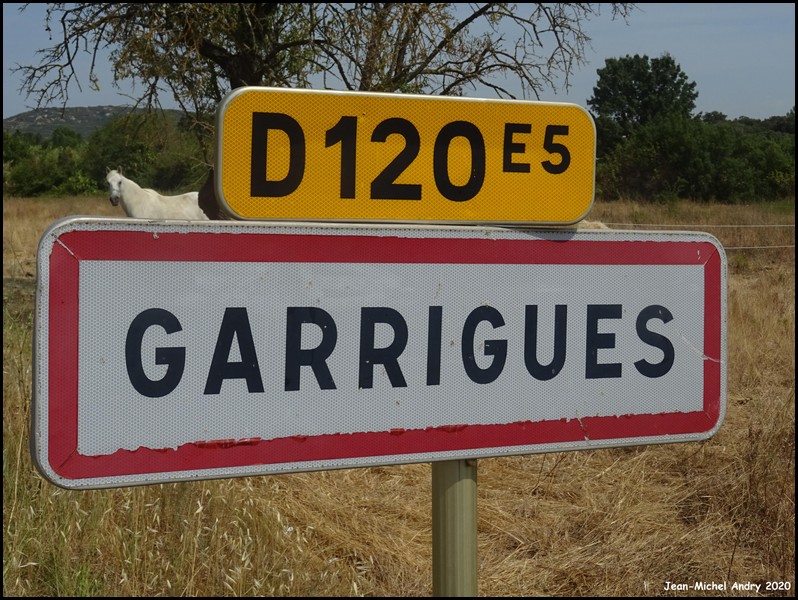 Garrigues 34  - Jean-Michel Andry.jpg