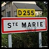 Sainte-Marie 35 - Jean-Michel Andry.jpg