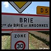 Brié-et-Angonnes 38 - Jean-Michel Andry.jpg