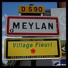 Meylan 38 - Jean-Michel Andry.jpg