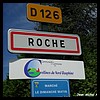 Roche 38 - Jean-Michel Andry.jpg