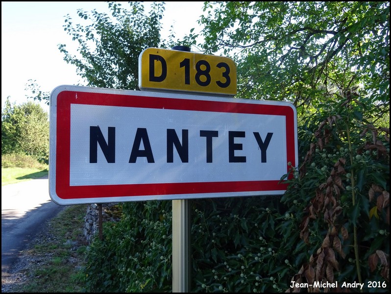 1Nantey 39 Jean-Michel Andry.jpg