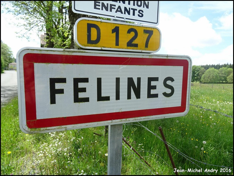 Félines 43 - Jean-Michel Andry.jpg