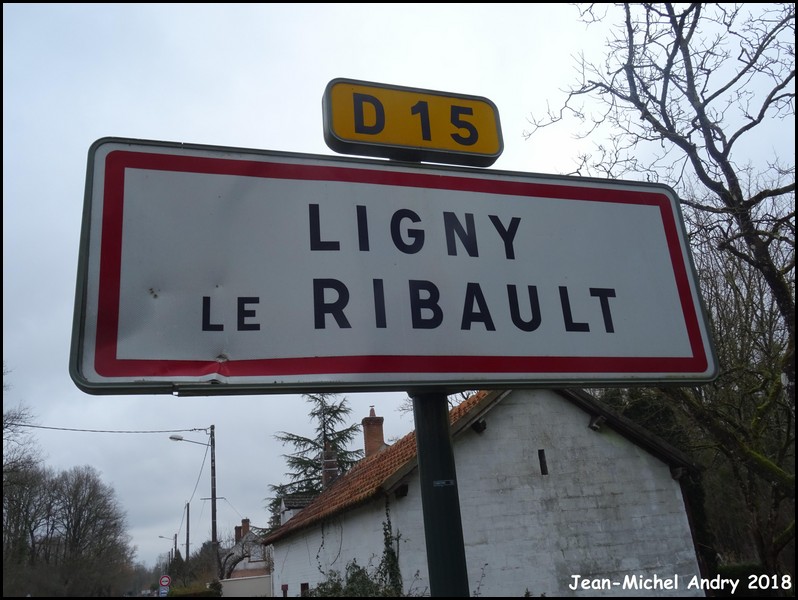 Ligny-le-Ribault 45 - Jean-Michel Andry.jpg