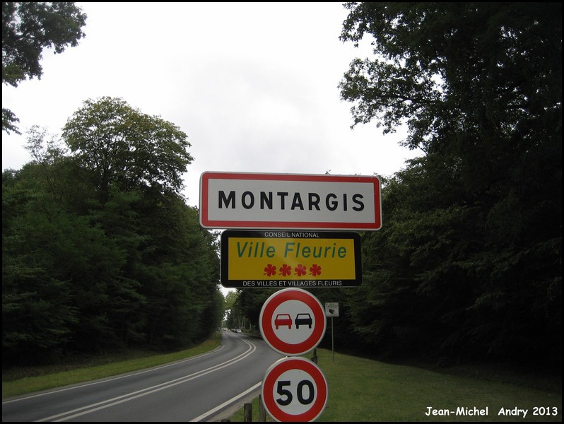 Montargis 45 - Jean-Michel Andry.jpg