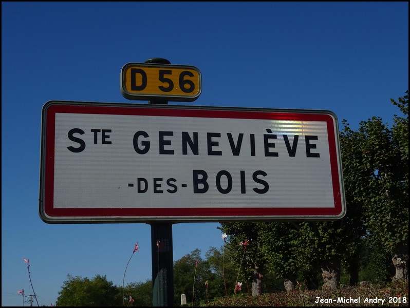 Sainte-Geneviève-des-Bois 45 - Jean-Michel Andry.jpg