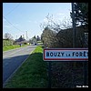 Bouzy-la-Forêt 45 - Jean-Michel Andry.jpg