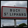 Bucy-Saint-Liphard 45 - Jean-Michel Andry.jpg