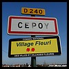 Cepoy 45 - Jean-Michel Andry.jpg