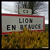 Lion-en-Beauce 45 - Jean-Michel Andry.jpg