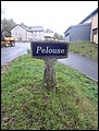 Pelouse.JPG