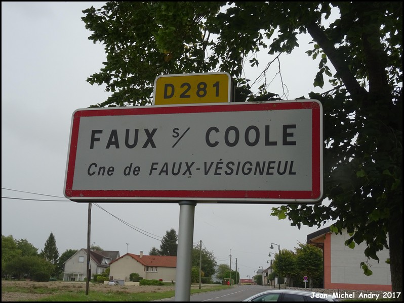 Faux-Vésigneul 1 51 - Jean-Michel Andry.jpg