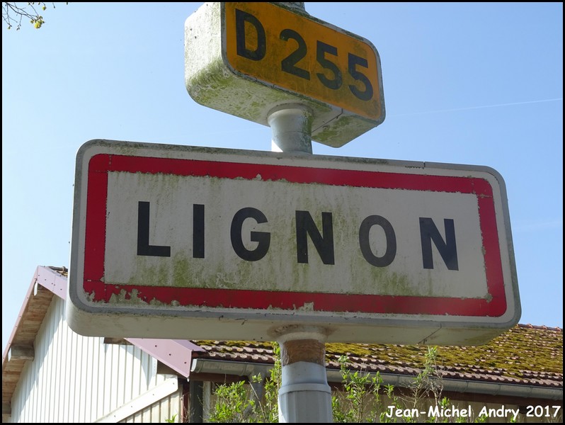 Lignon 51 - Jean-Michel Andry.jpg