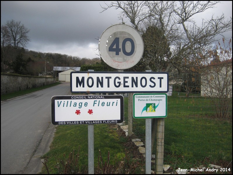 Montgenost 51 - Jean-Michel Andry.jpg