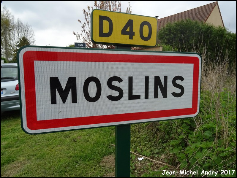 Moslins 51 - Jean-Michel Andry.jpg