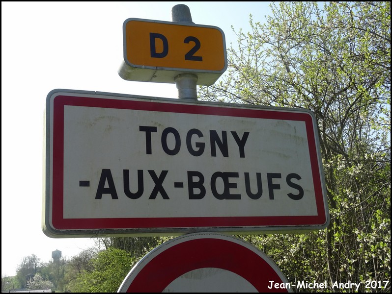 Togny-aux-Boeufs 51 - Jean-Michel Andry.jpg