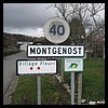 Montgenost 51 - Jean-Michel Andry.jpg