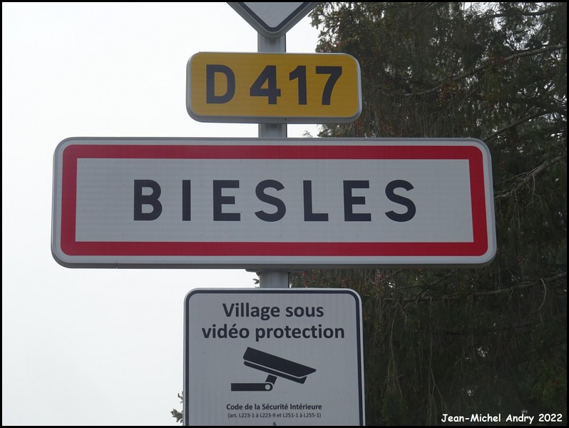 Biesles 52 - Jean-Michel Andry.jpg