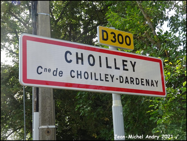 Choilley-Dardenay 1 52 - Jean-Michel Andry.jpg