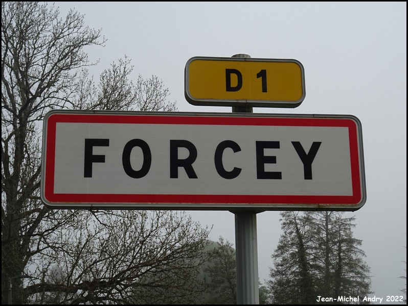 Forcey 52 - Jean-Michel Andry.jpg