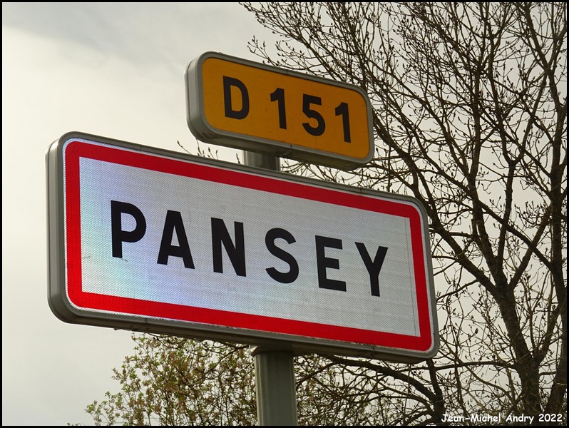 Pansey 52 - Jean-Michel Andry.jpg