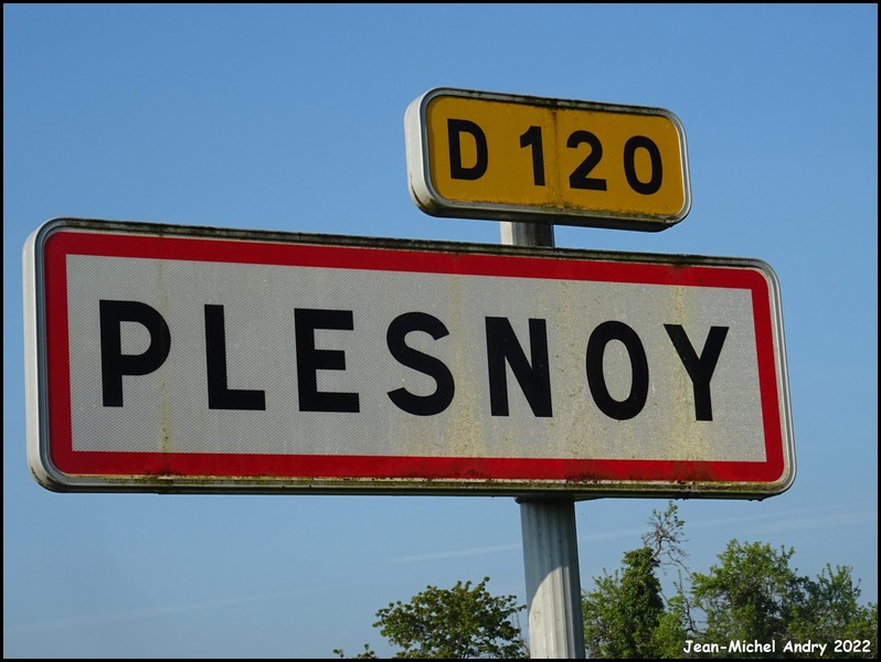 Plesnoy 52 - Jean-Michel Andry.jpg