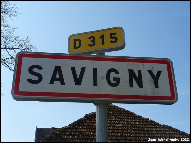 Savigny 52 - Jean-Michel Andry.jpg