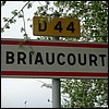 Briaucourt 52 - Jean-Michel Andry.jpg