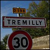 Trémilly 52 - Jean-Michel Andry.jpg