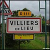 Villiers-en-Lieu 52 - Jean-Michel Andry.JPG