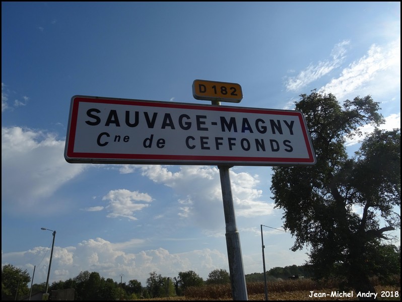 11Sauvage-Magny 52 - Jean-Michel Andry.jpg