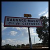 11Sauvage-Magny 52 - Jean-Michel Andry.jpg