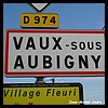 61Vaux-sous-Aubigny 52 - Jean-Michel Andry.jpg