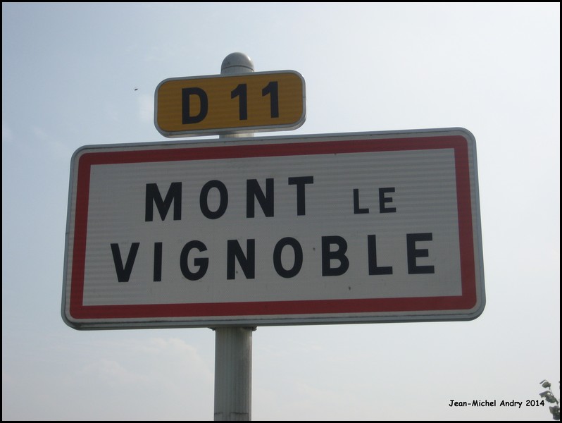 Mont-le-Vignoble 54 - Jean-Michel Andry.jpg