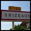 Brizeaux 55 - Jean-Michel Andry.jpg