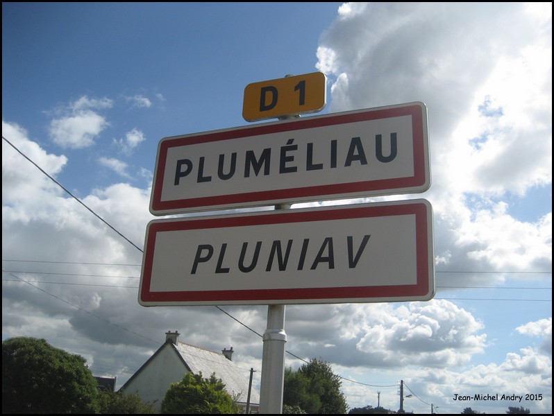 Pluméliau 56 - Jean-Michel Andry.jpg