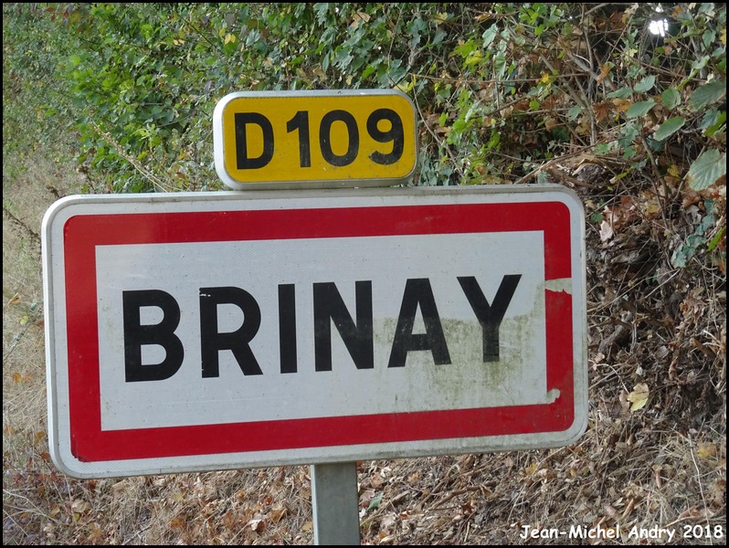 Brinay 58 - Jean-Michel Andry.jpg