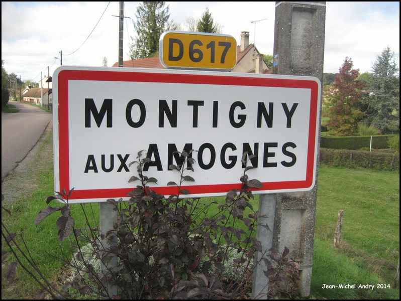 Montigny-aux-Amognes 58 - Jean-Michel Andry.jpg