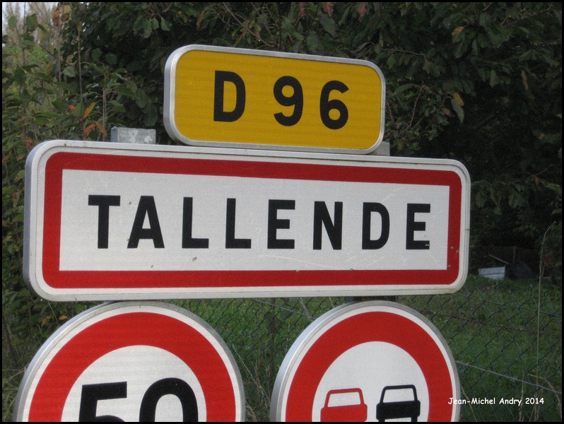 Tallende 63 - Jean-Michel Andry.jpg