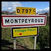 Montpeyroux 63 - Jean-Michel Andry.jpg