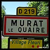 Murat-le-Quaire 63 - Jean-Michel Andry.jpg