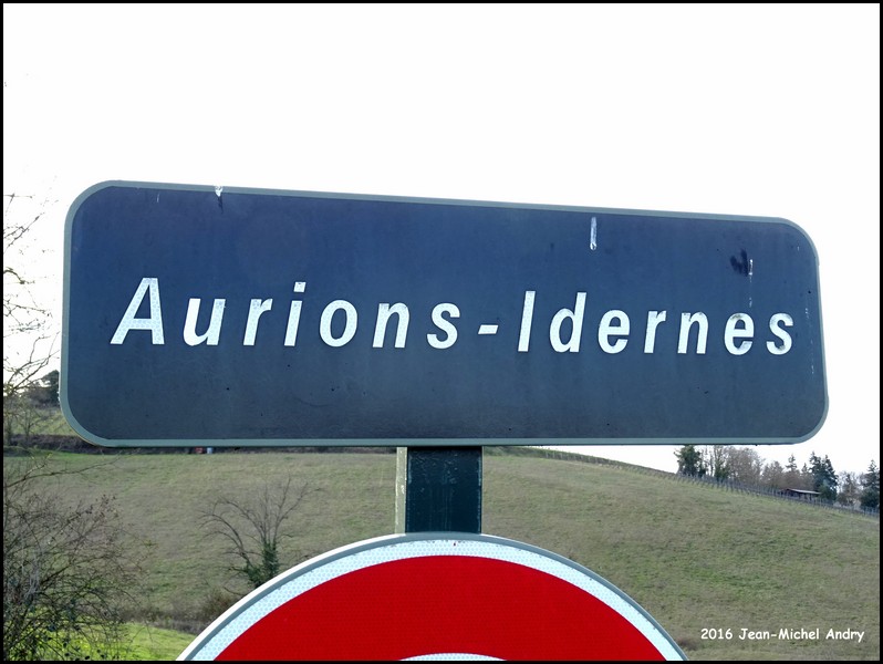 Aurions-Idernes 64 - Jean-Michel Andry.jpg