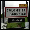 Colombier-Saugnieu 69 - Jean-Michel Andry.jpg
