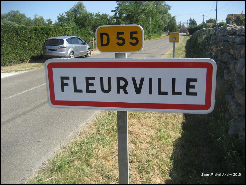 Fleurville 71 - Jean-Michel Andry.jpg