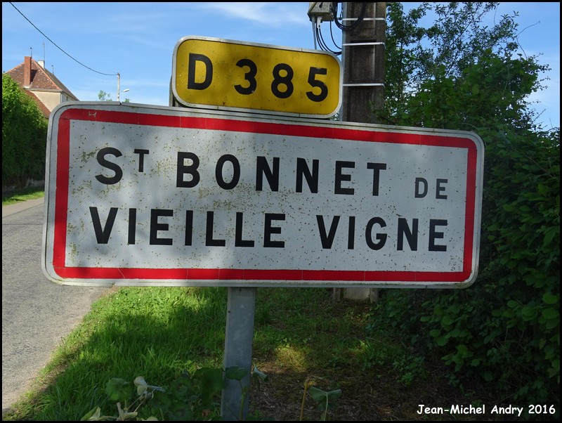 Saint-Bonnet-de-Vieille-Vigne 71 - Jean-Michel Andry.jpg