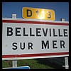 Belleville-sur-Mer 76 - Jean-Michel Andry.jpg