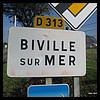 Biville-sur-Mer 76 - Jean-Michel Andry.jpg