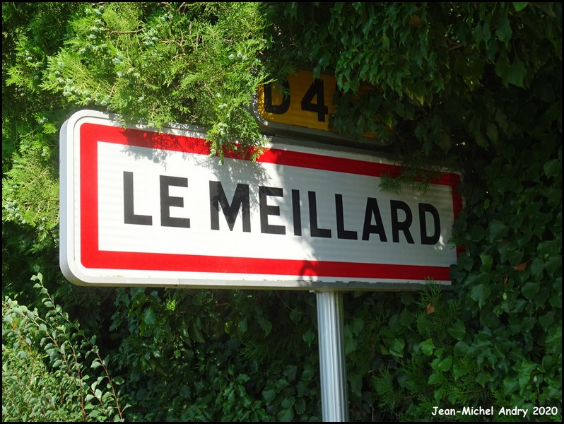 Le Meillard 80 - Jean-Michel Andry.jpg