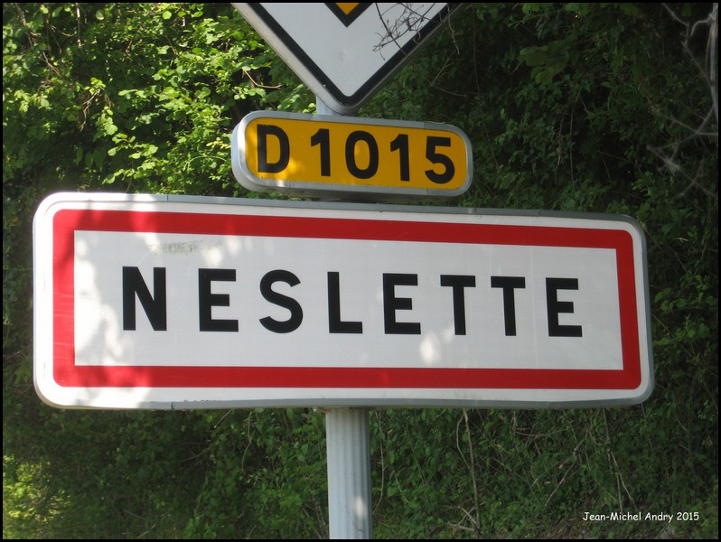 Neslette  80 - Jean-Michel Andry.jpg